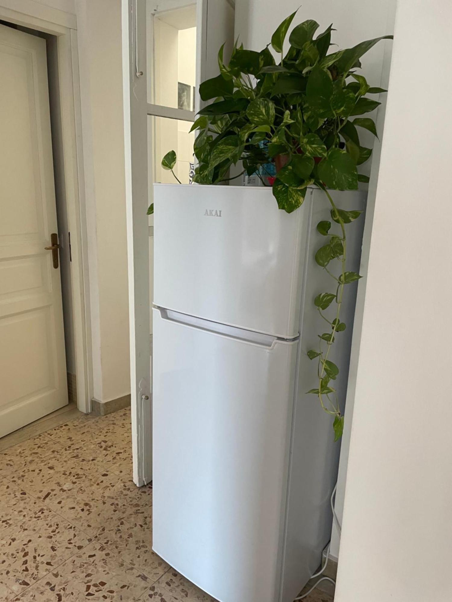 Apartment Lorenzo's House Centre - Comfortable Large With 2 Bedrooms And 2 Baths, Close To Trains, Metro And Bus Station Catania